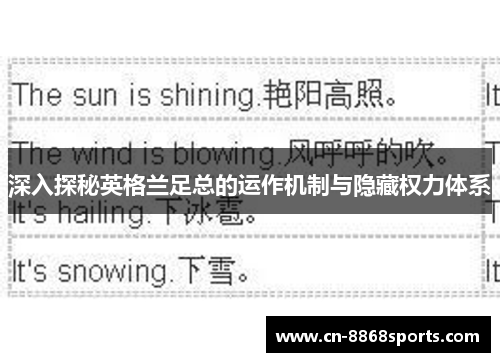 深入探秘英格兰足总的运作机制与隐藏权力体系